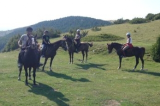 Rutas a caballo por la zona